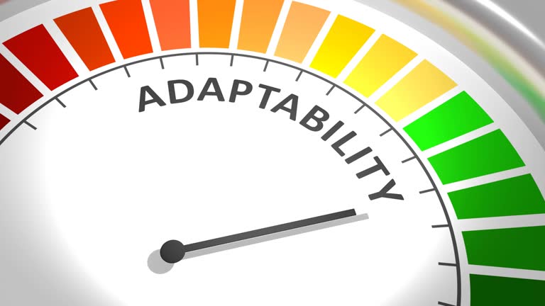 Adaptability ( Soft Skill part 1 )